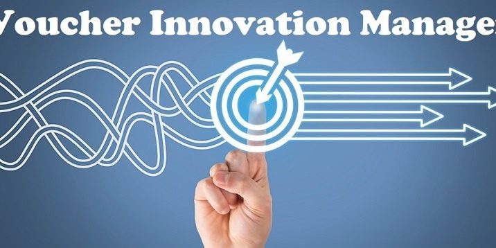 Voucher Innovation Manager bando consulenza domanda iscrizione Mise contributi assistenza supporto aiuto